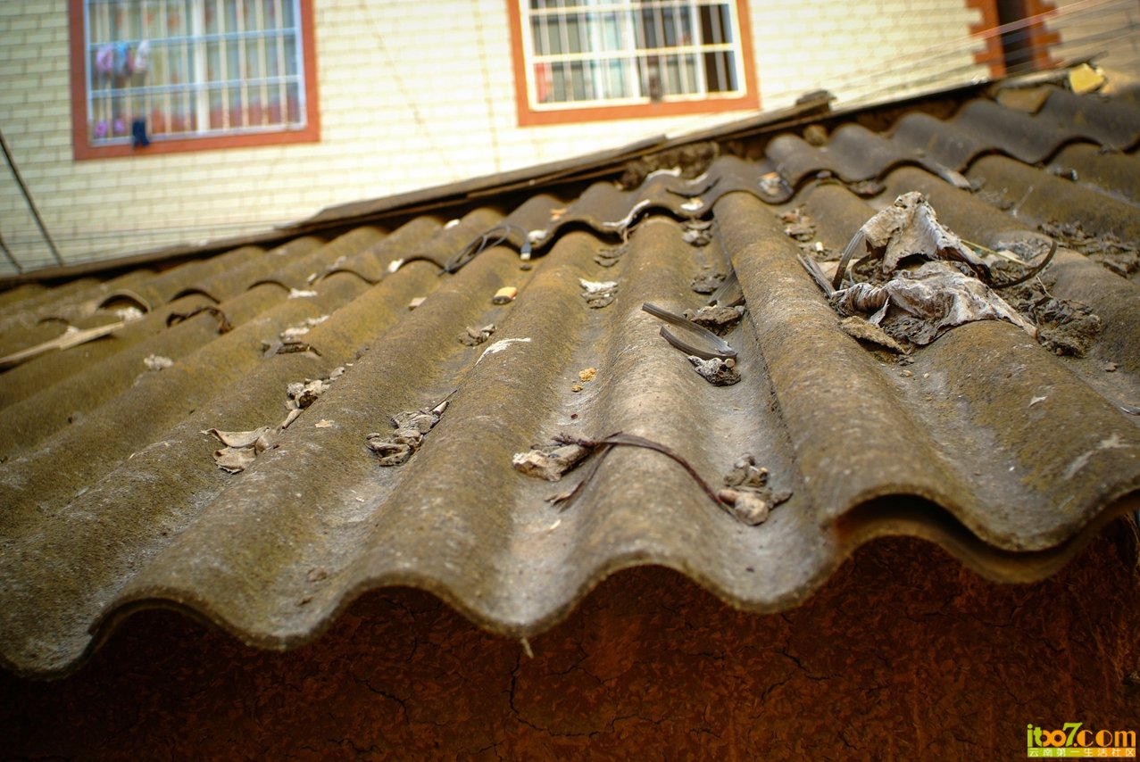 DSCF6937.jpg