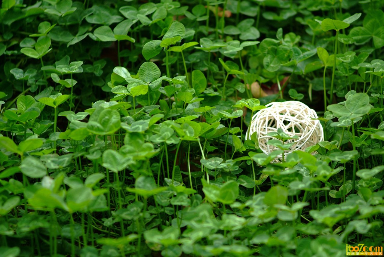 DSCF7190.jpg
