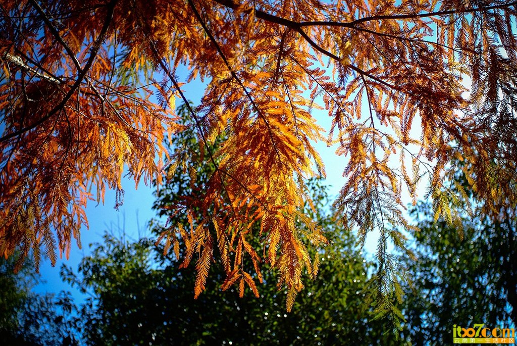 DSCF6812.jpg