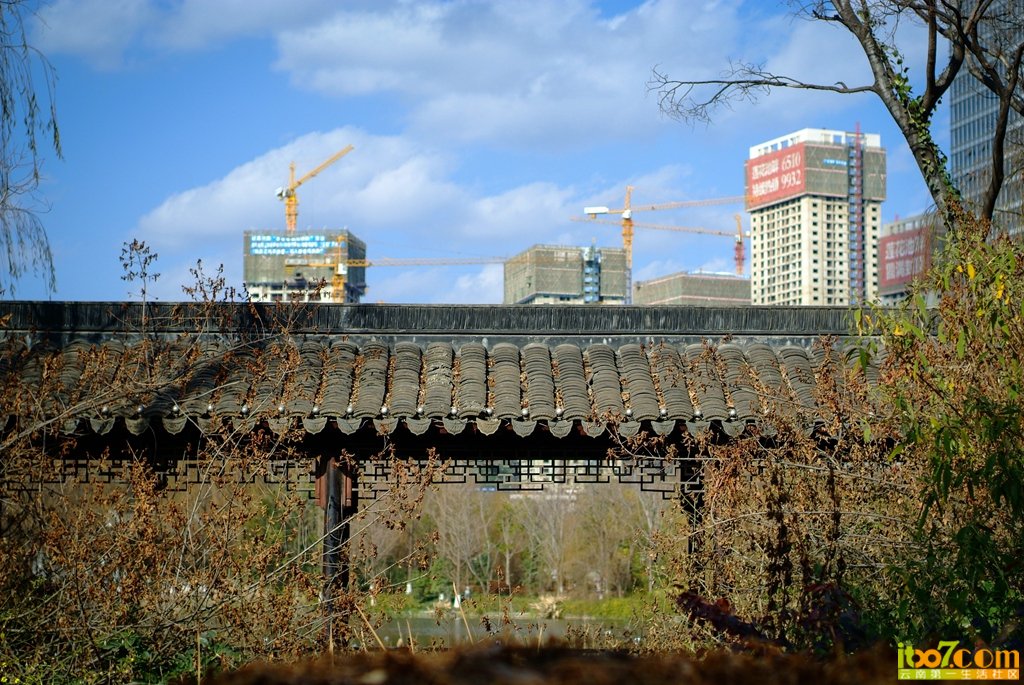 DSCF7639.jpg