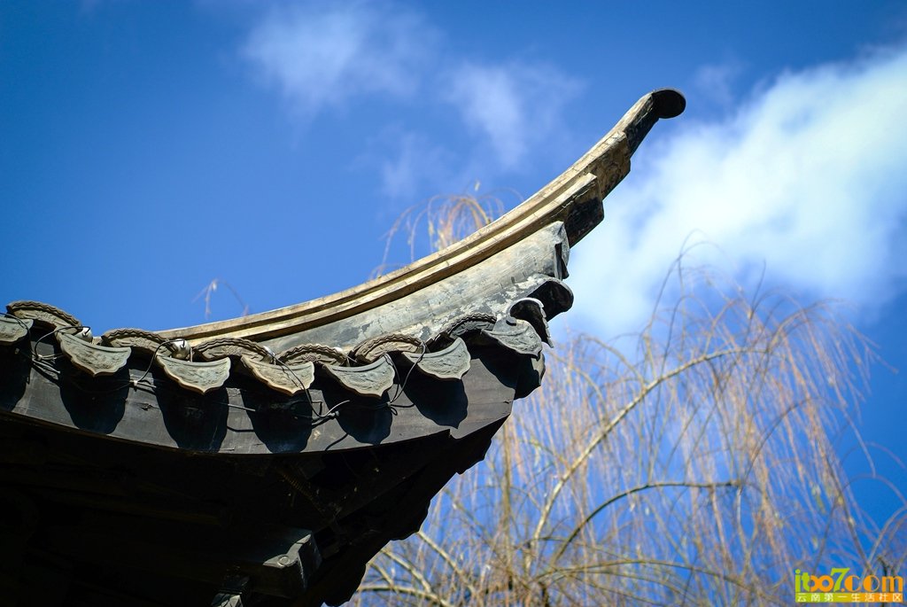 DSCF7646.jpg
