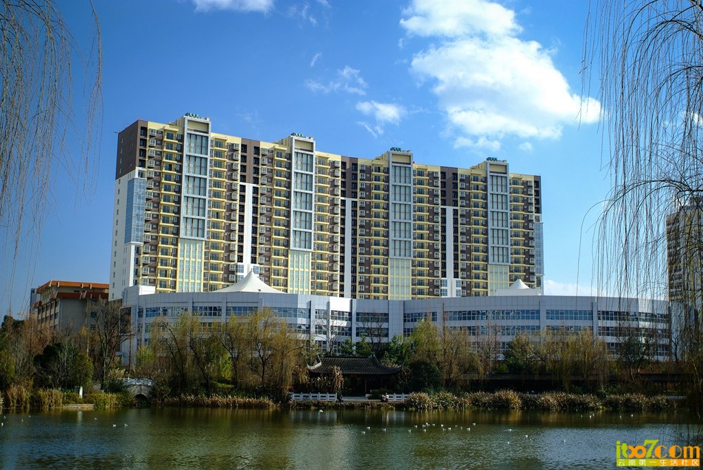 DSCF7738.jpg