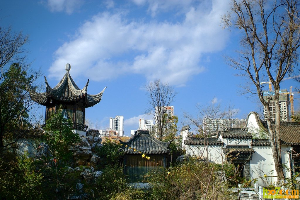 DSCF7742.jpg