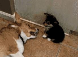 10-140115114646.gif
