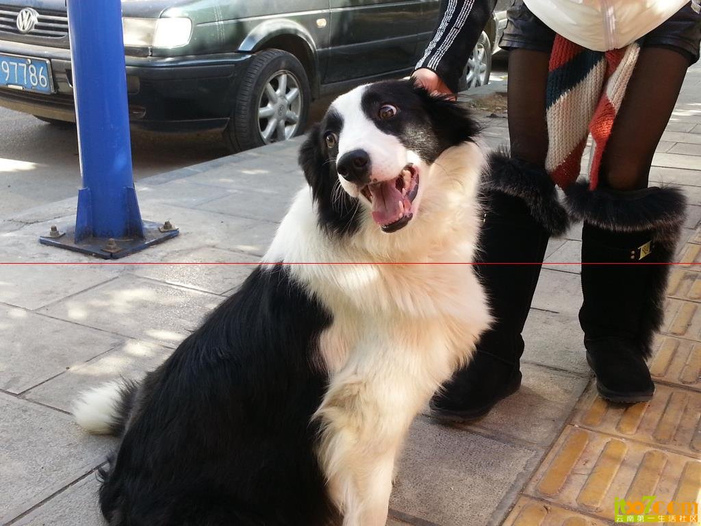 20131230_145706.jpg