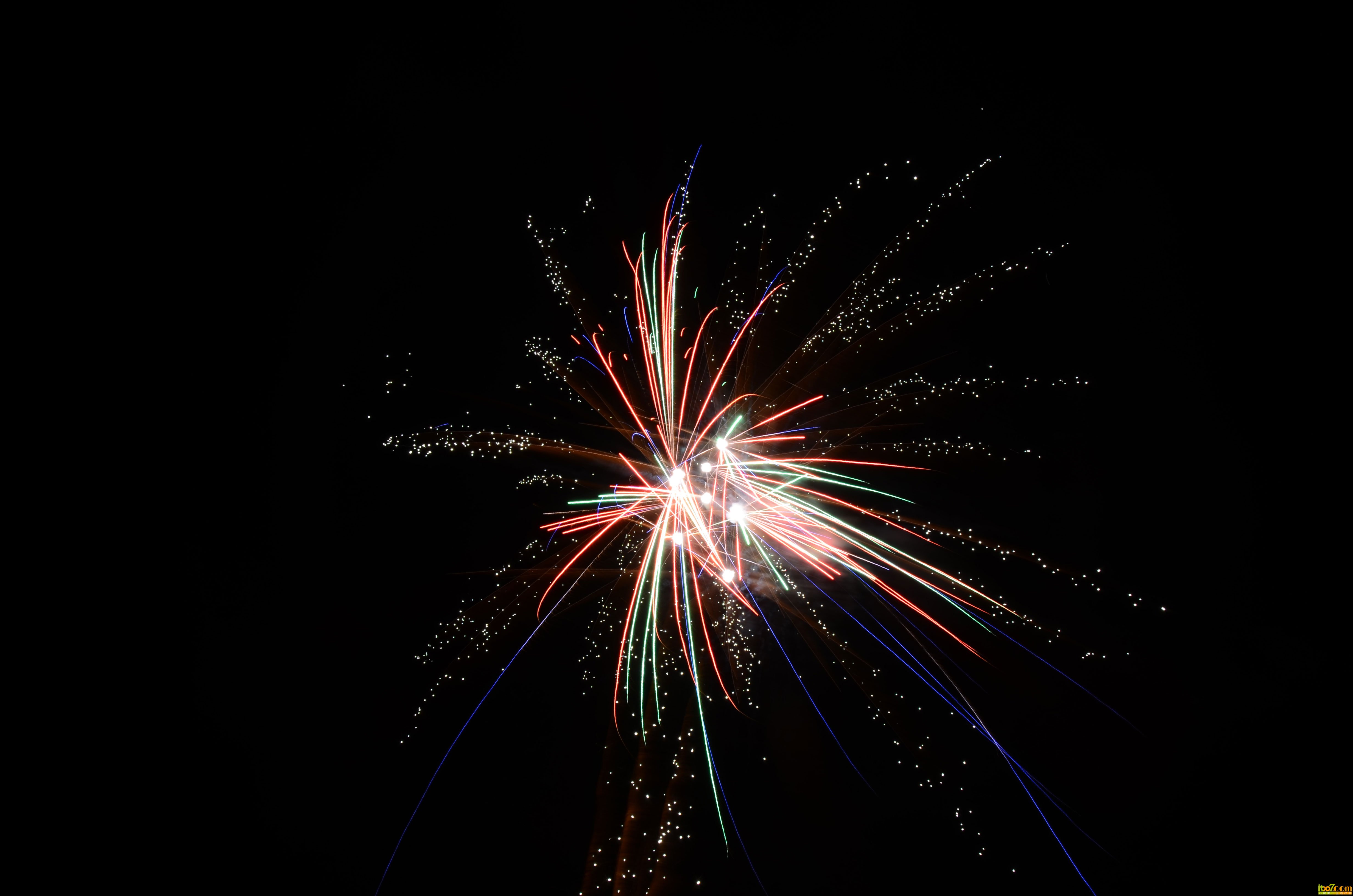 DSC_0771.jpg