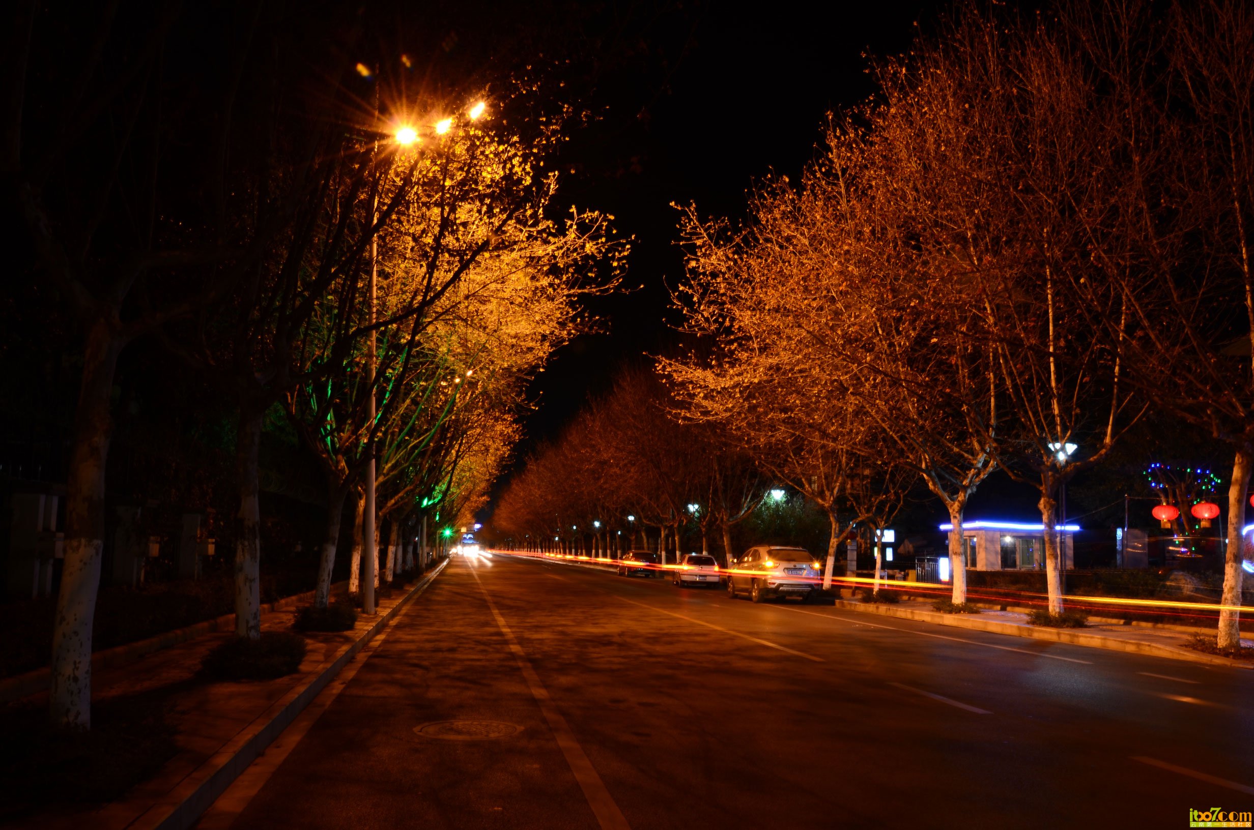 DSC_0775.jpg