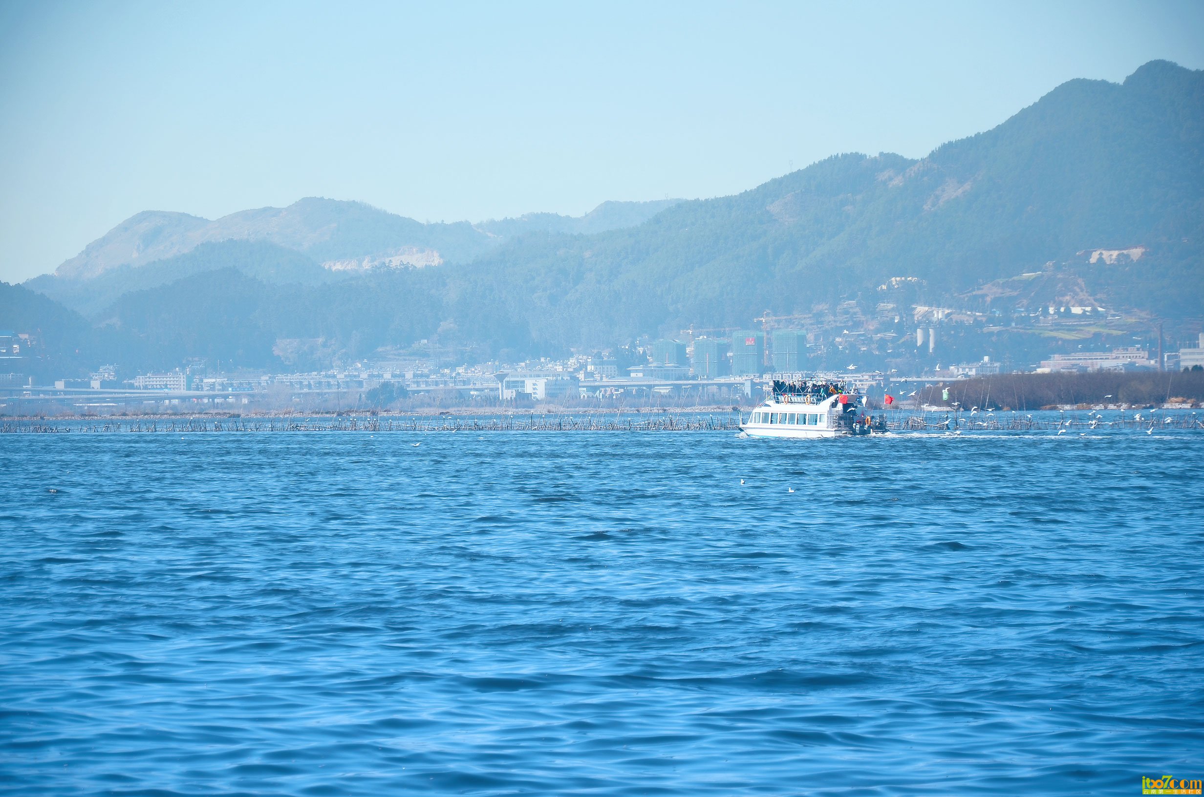 DSC_0784.jpg