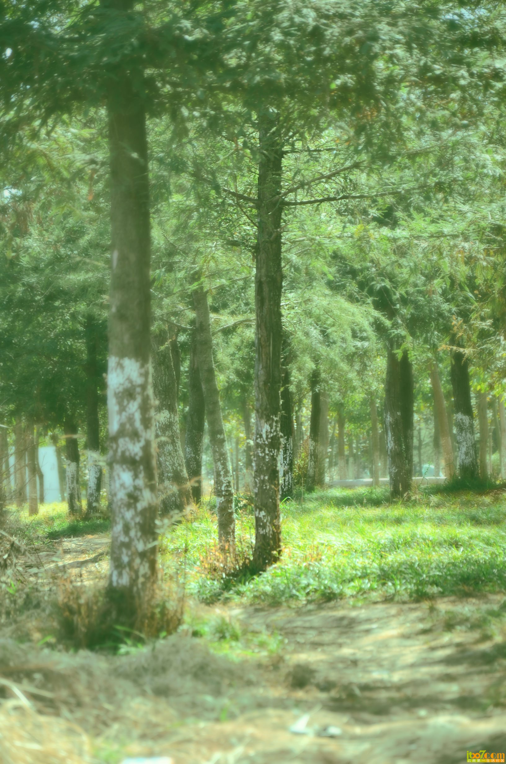 DSC_0791.jpg