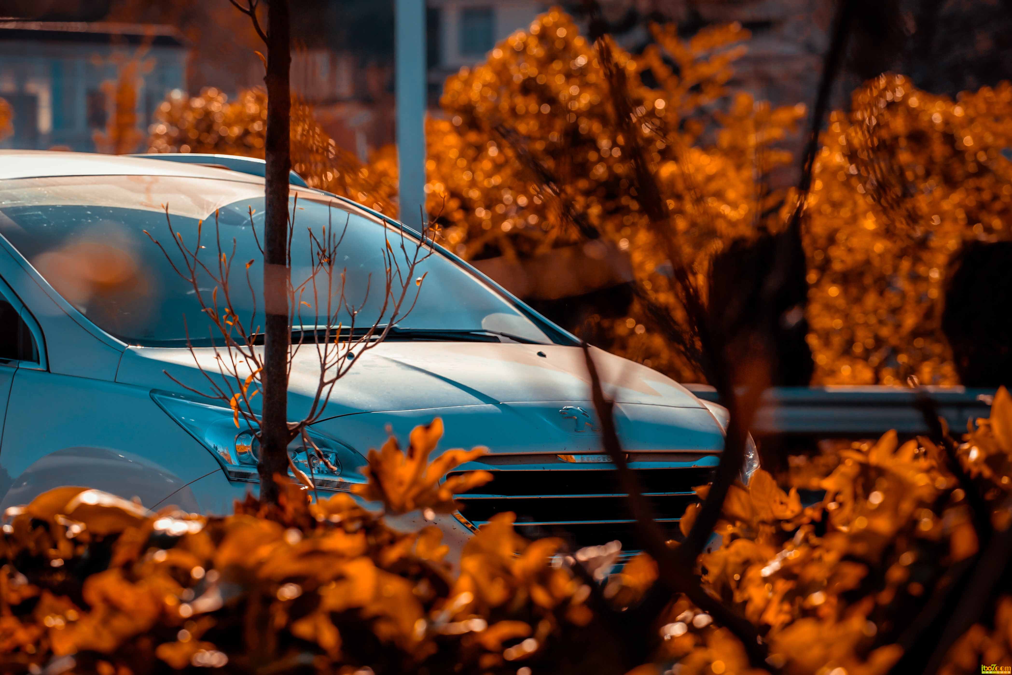 LZY_6966.jpg