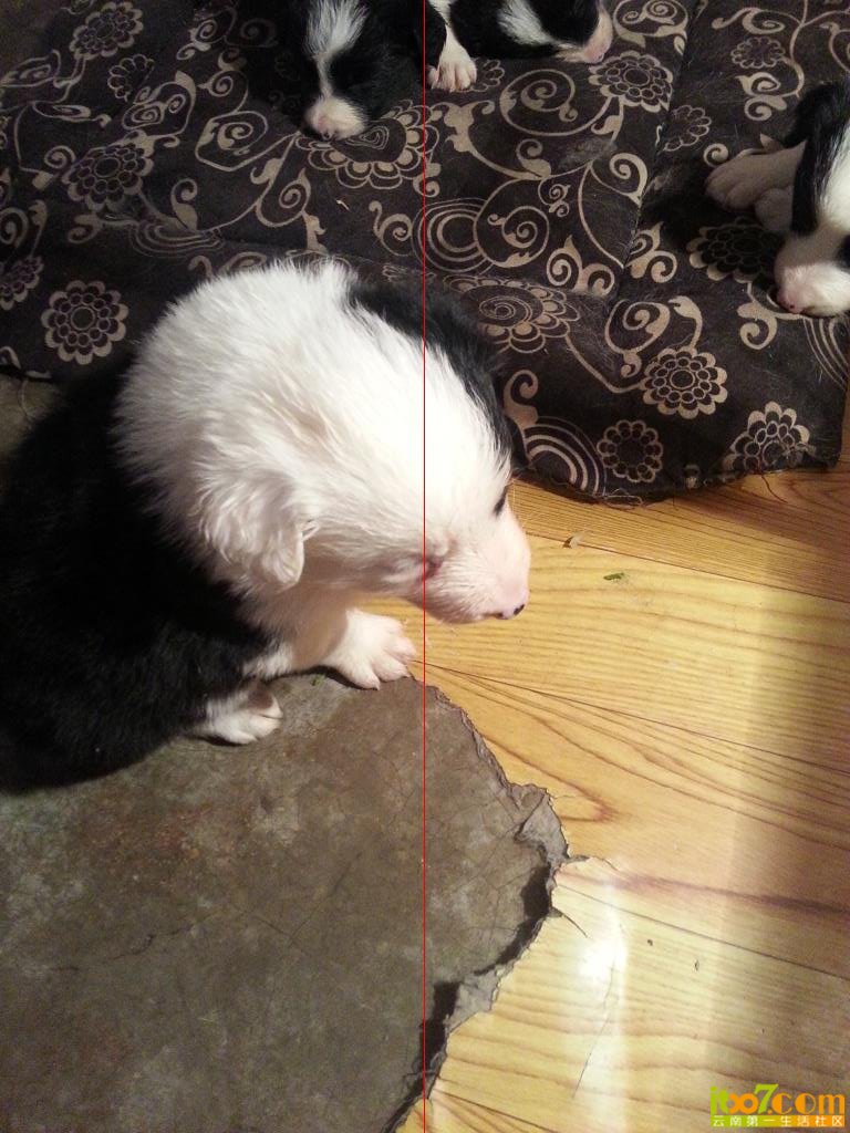 20140202_091526.jpg