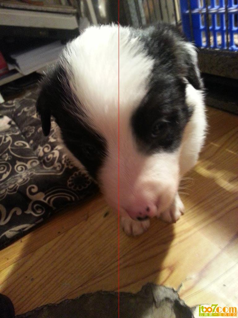 20140202_091627.jpg