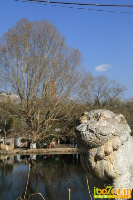 DPP_0041.JPG