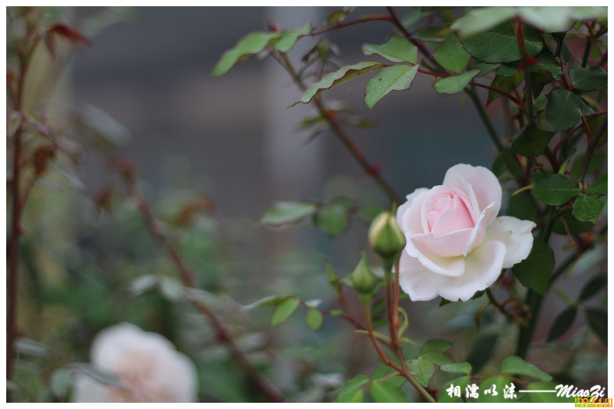 IMG_0833 副本.jpg