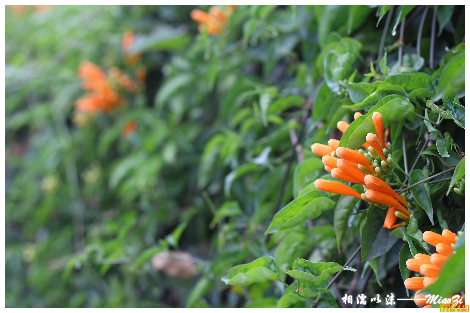 IMG_0882 副本.jpg