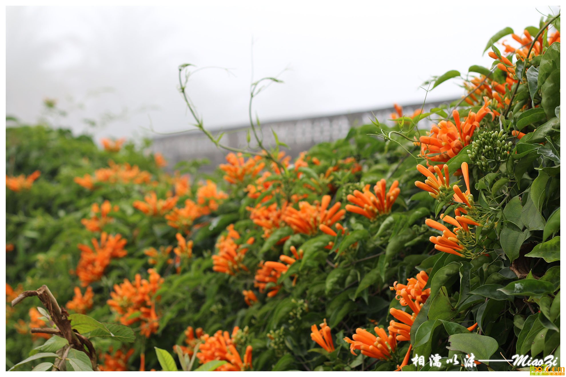 IMG_0883 副本.jpg