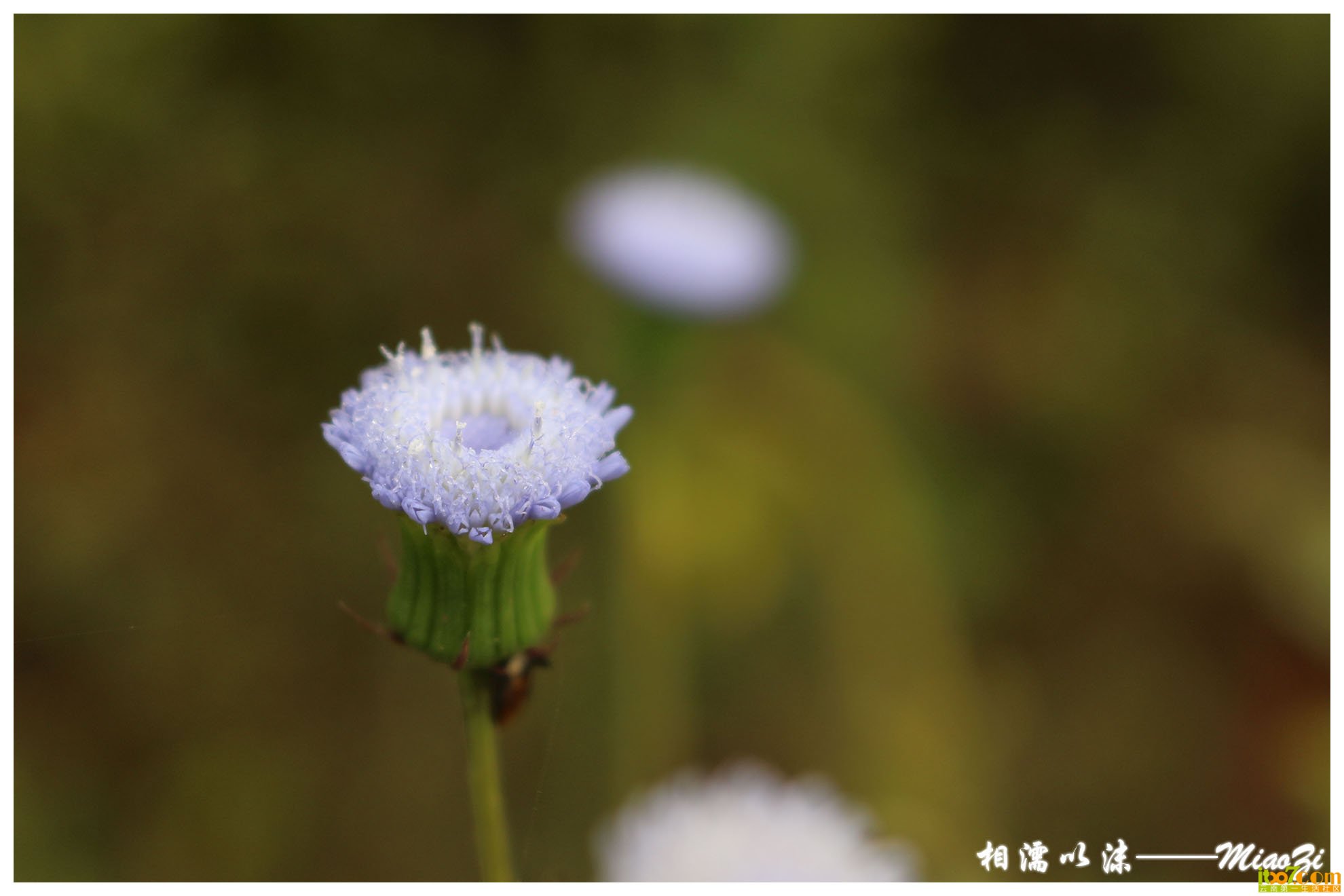 IMG_0931 副本.jpg