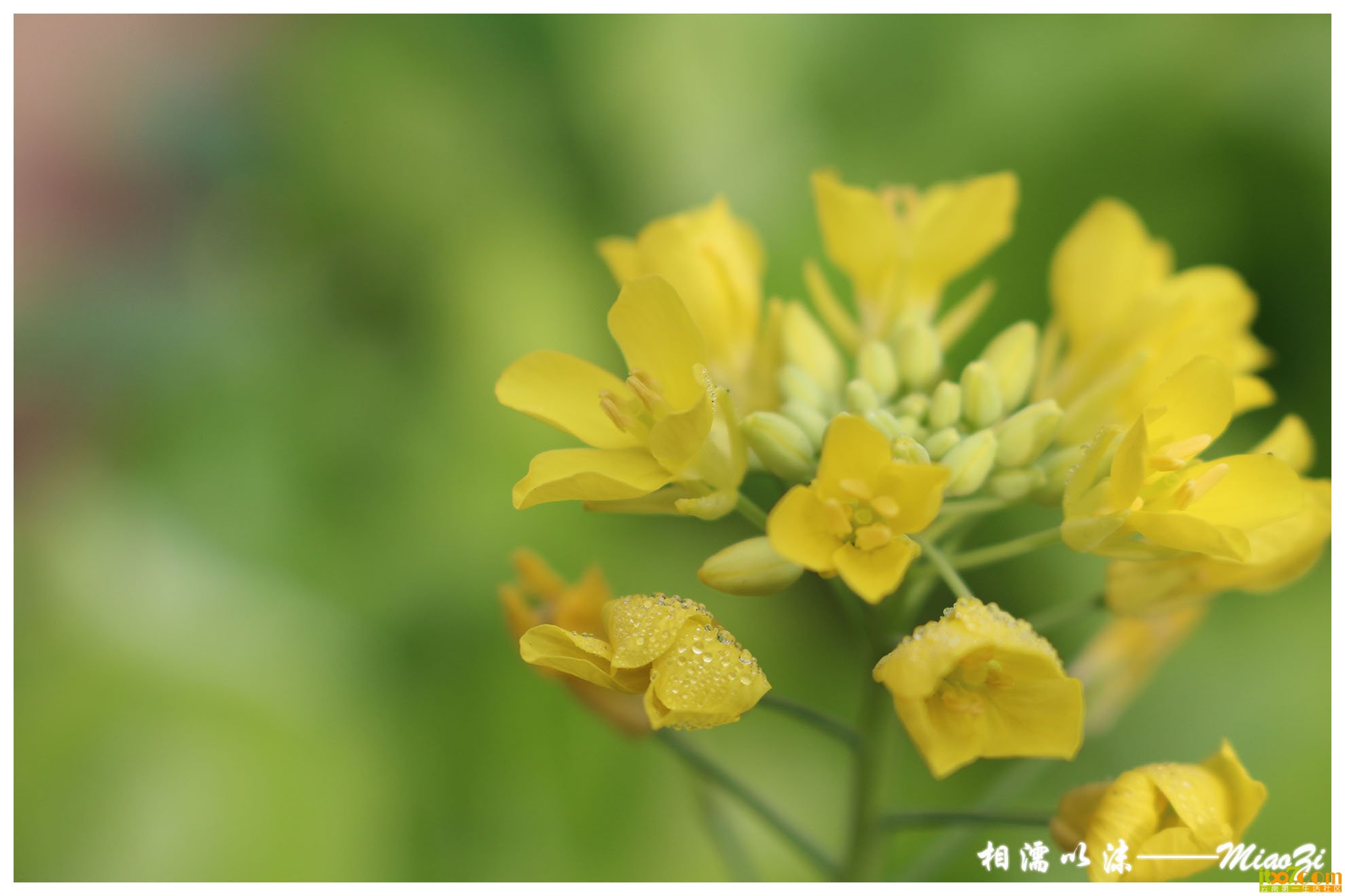 IMG_0959 副本.jpg