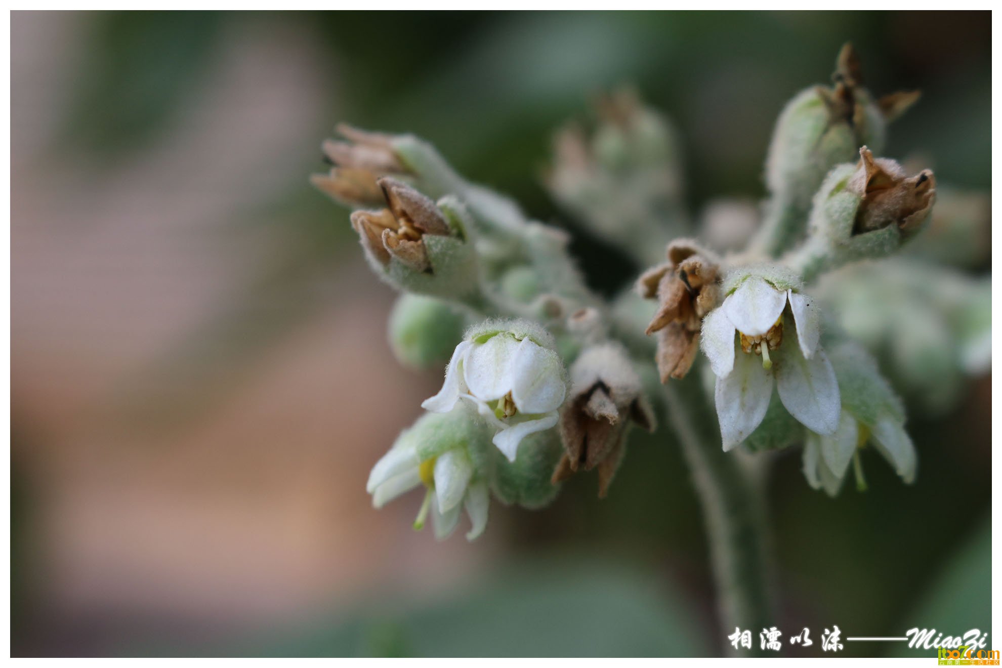 IMG_0962 副本.jpg