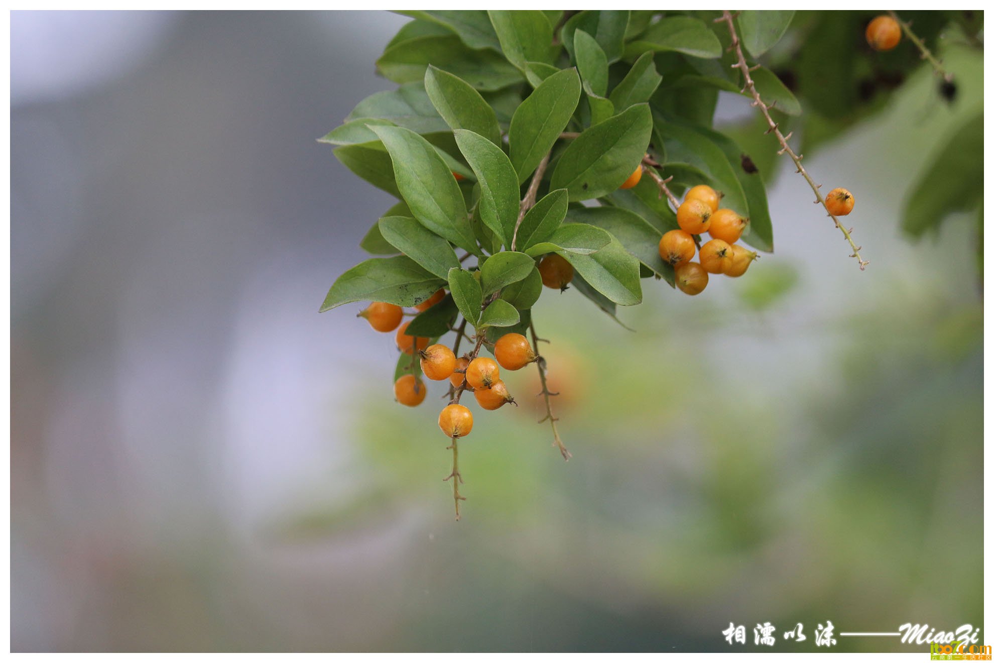 IMG_1021 副本.jpg