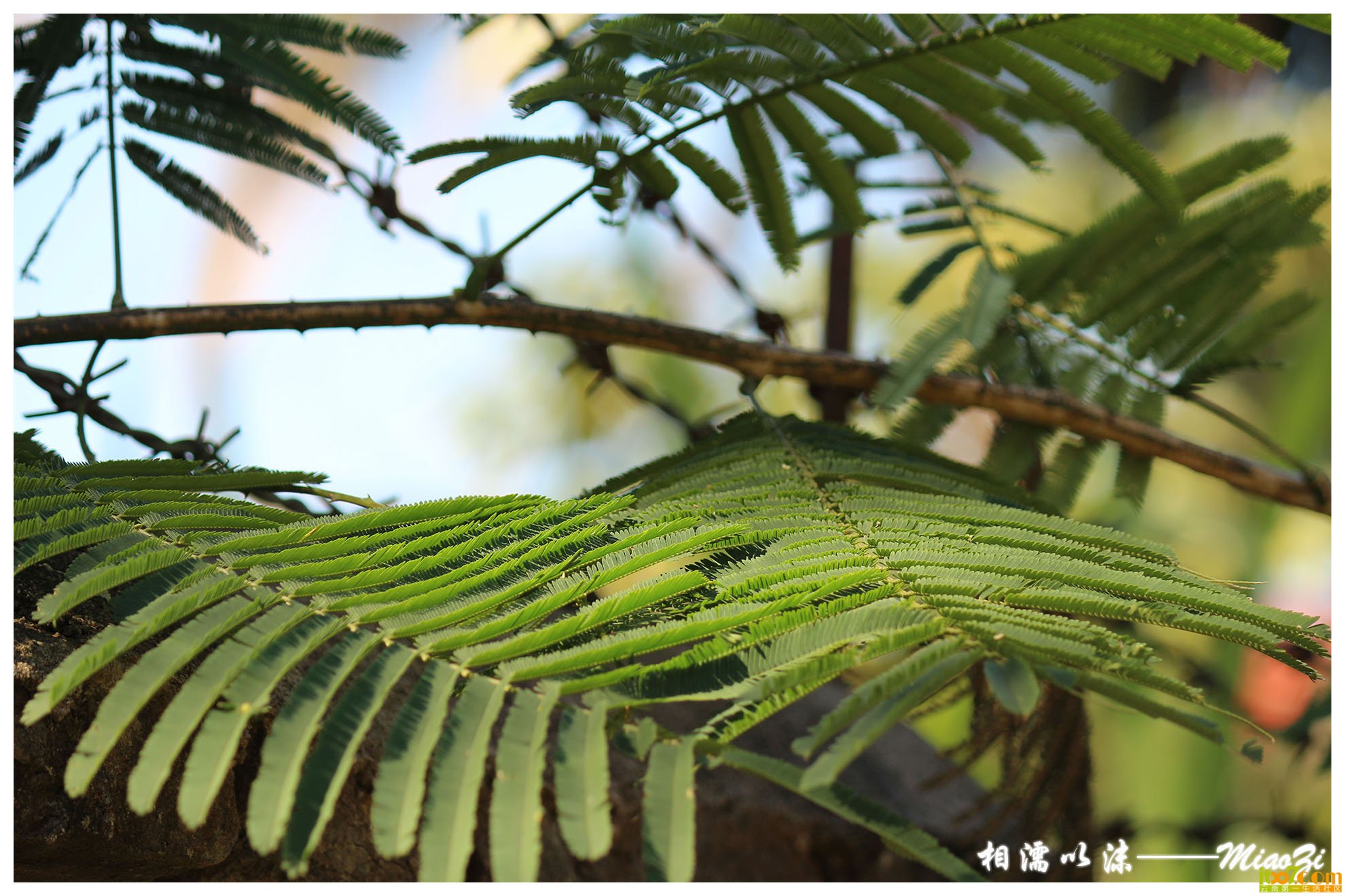 IMG_1236 副本.jpg