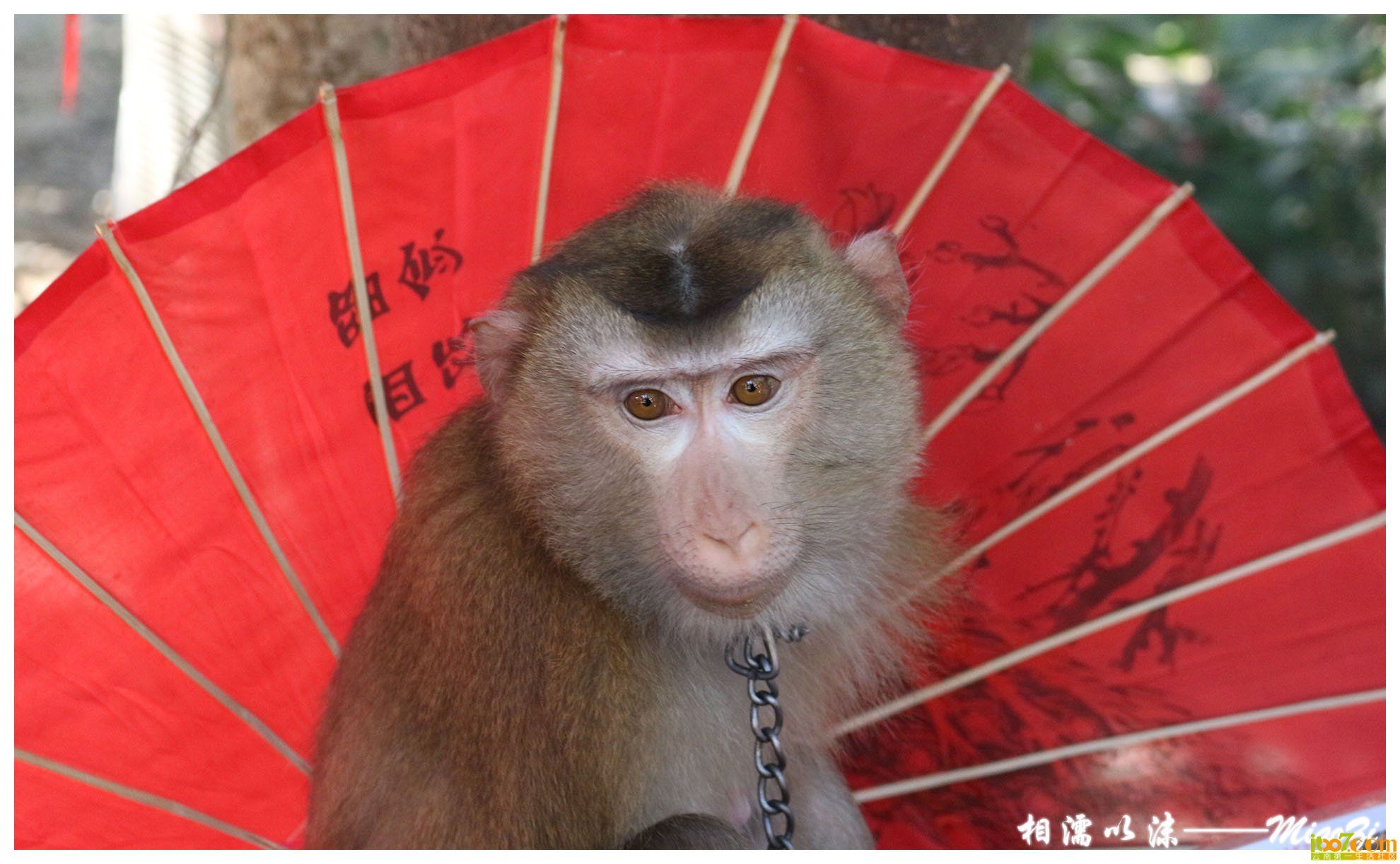 IMG_1582 副本.jpg