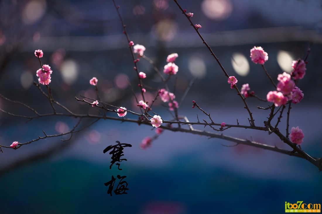 _MG_9671.jpg