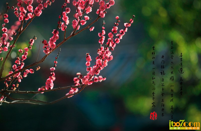 _MG_9700.jpg