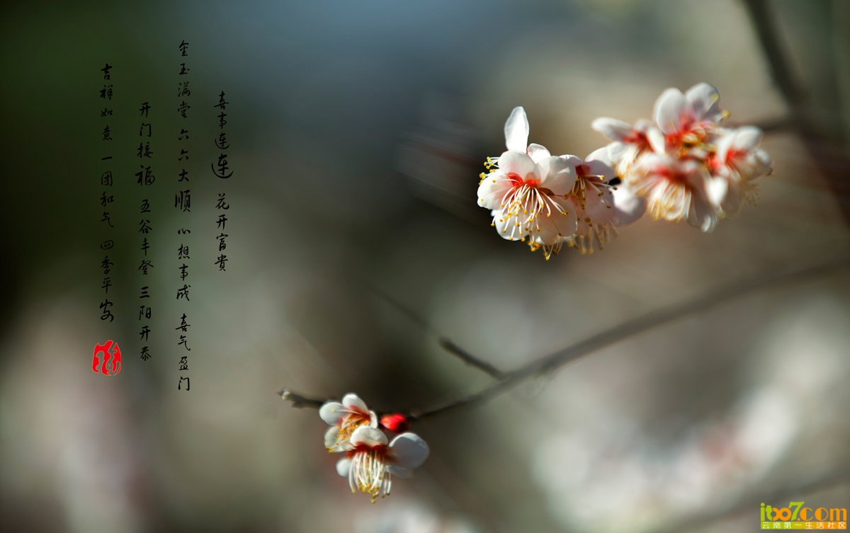 _MG_97841.jpg