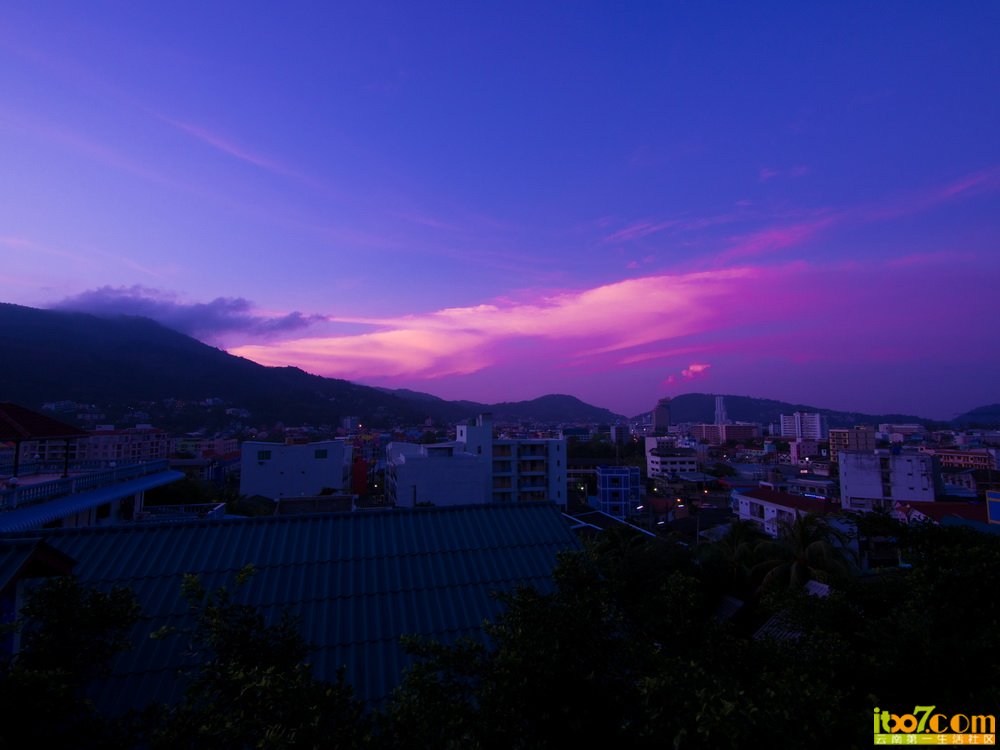 P1060009.jpg