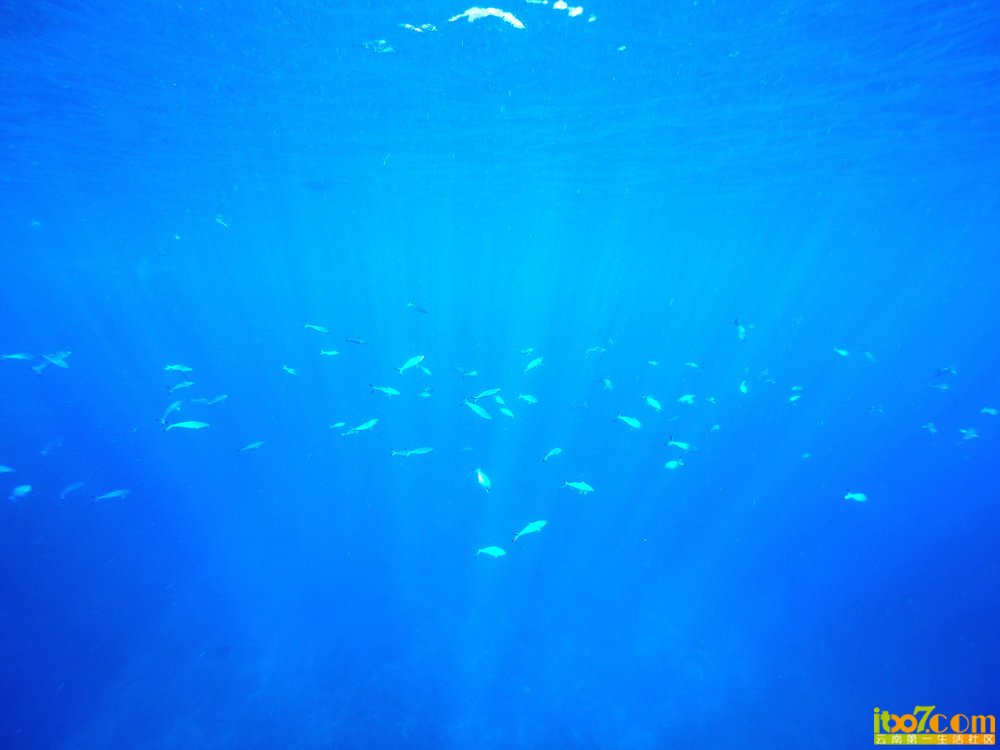 P1080331.jpg
