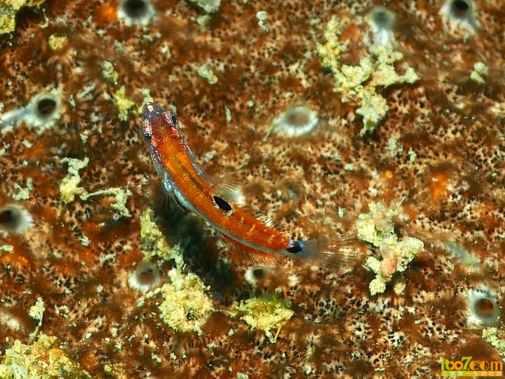 P1100580.jpg