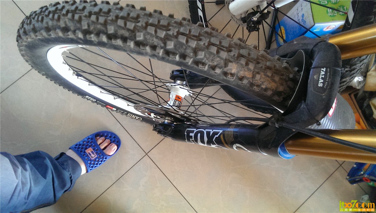 IMAG0146.jpg