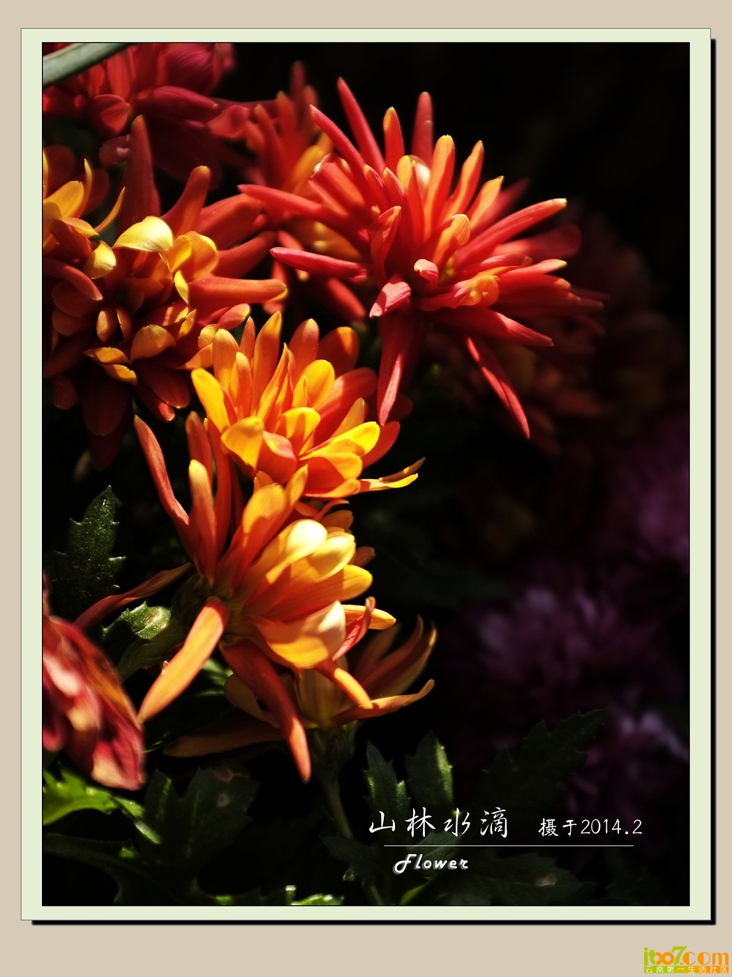 _DSF0791.jpg