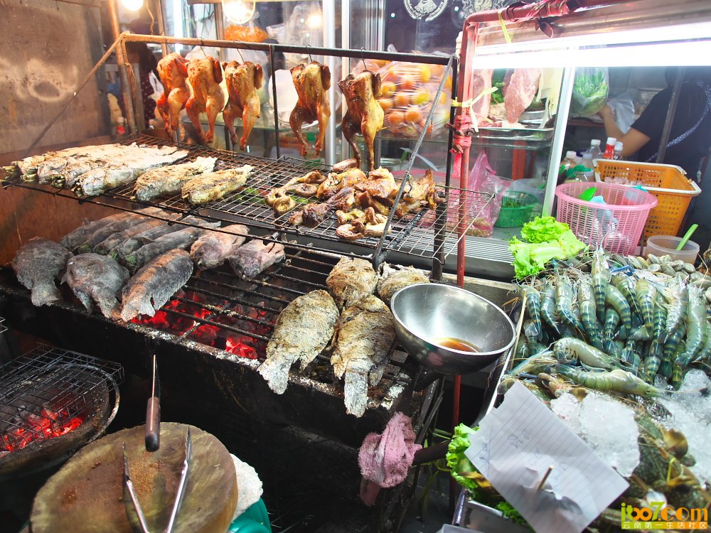 P1040025.jpg