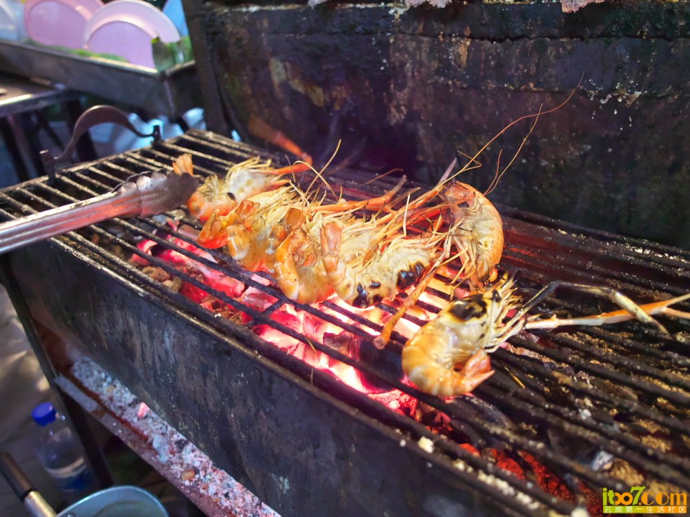 P1040027.jpg