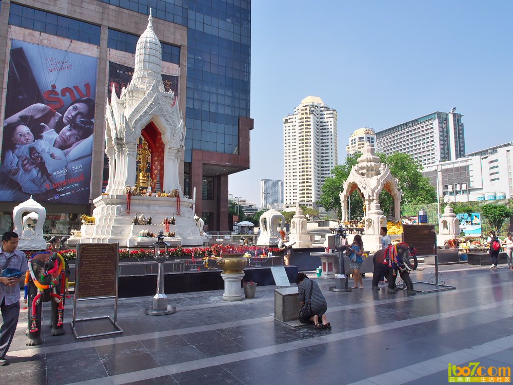 P1050201.jpg