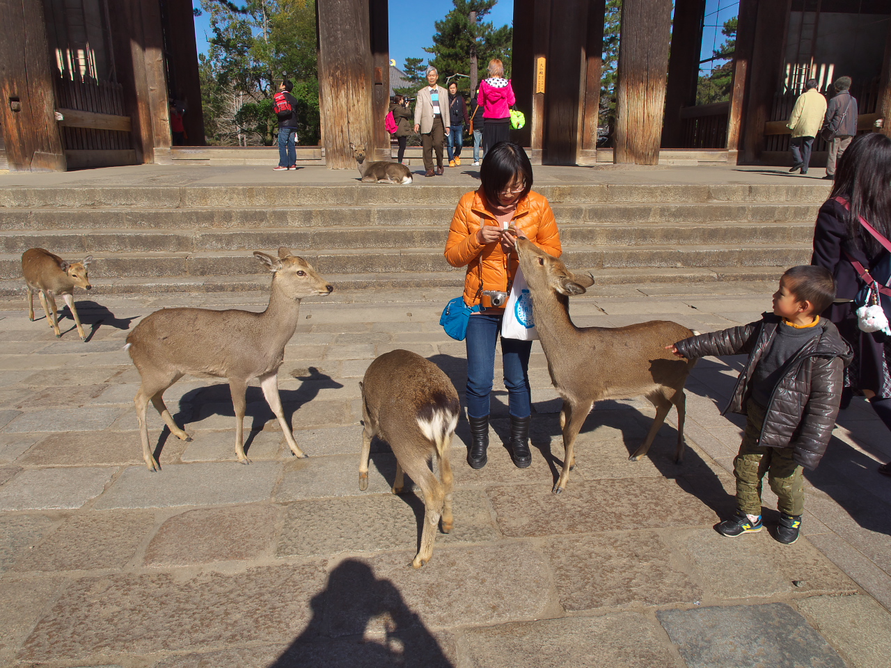 P1290102.jpg