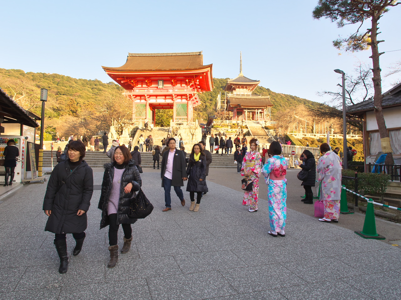 P1290166.jpg