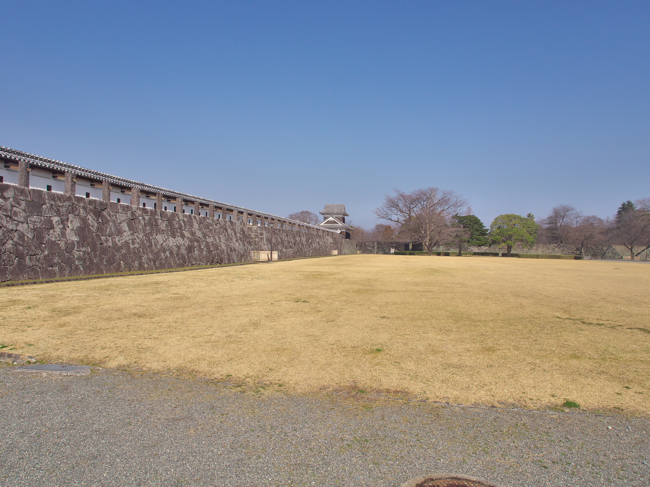 P1310282.jpg