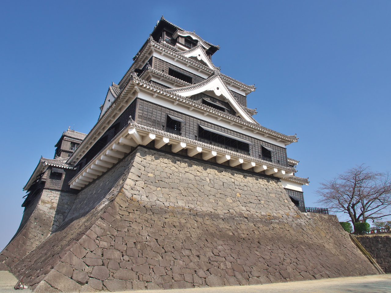 P1310345.jpg