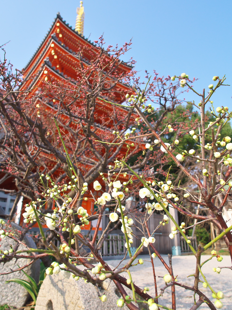 P2020586.jpg