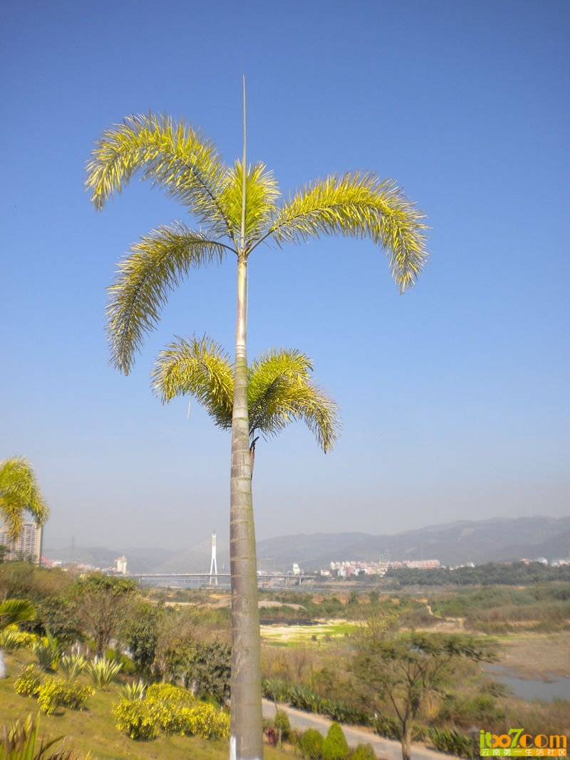 DSCN3121.JPG