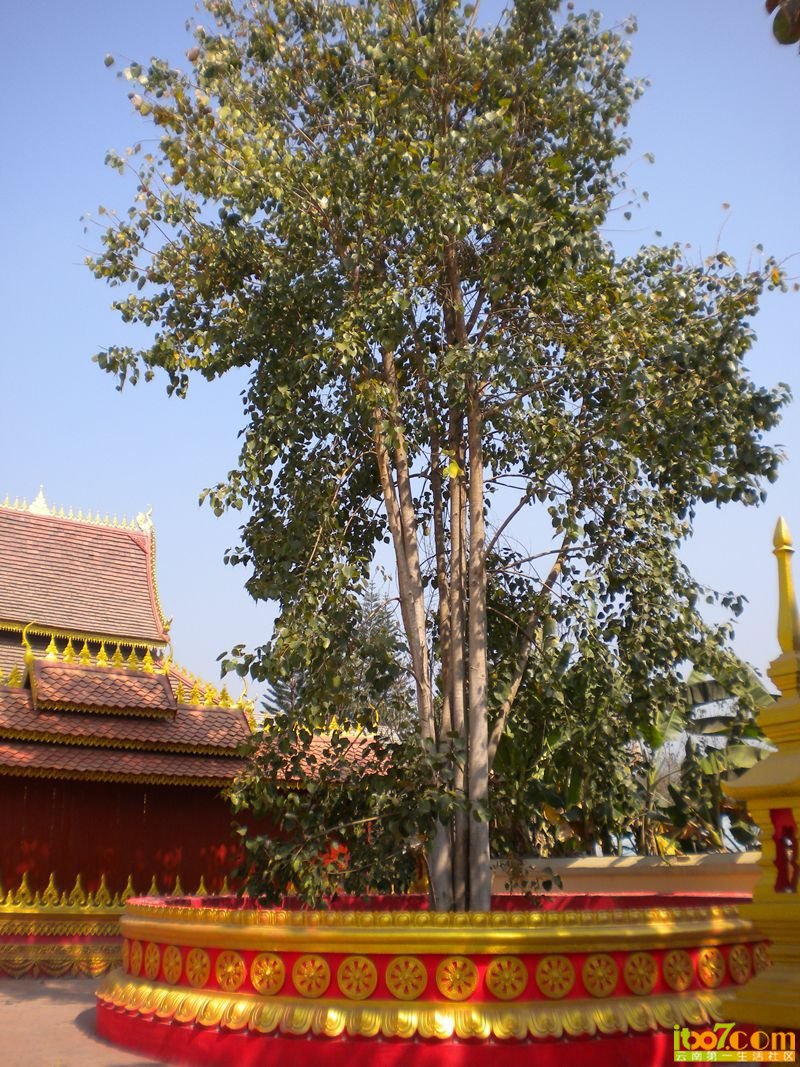 DSCN3330.JPG