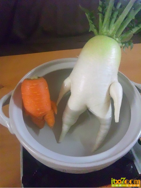 7.png