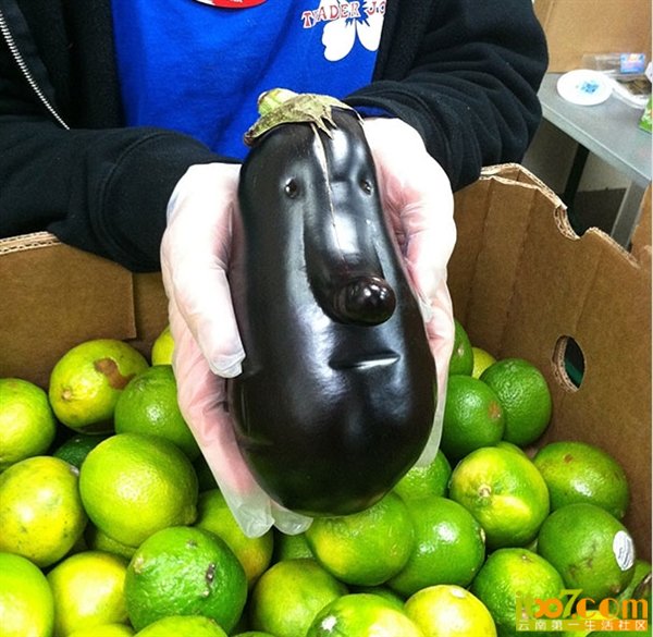 17.png
