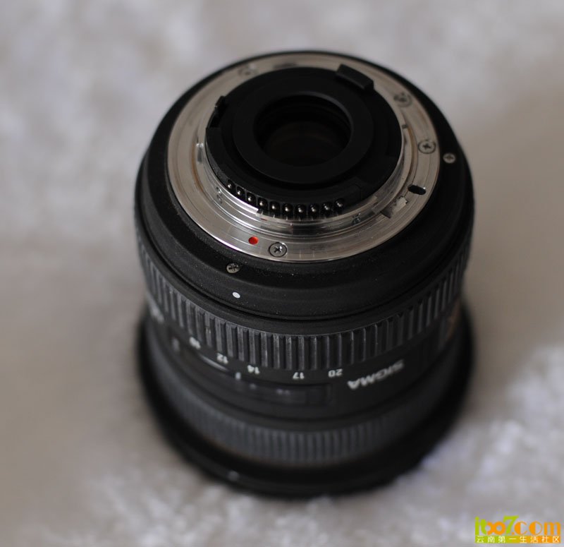 DSC_7342.JPG