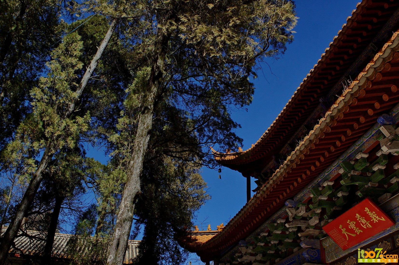 DSC_0007_缩小大小.jpg