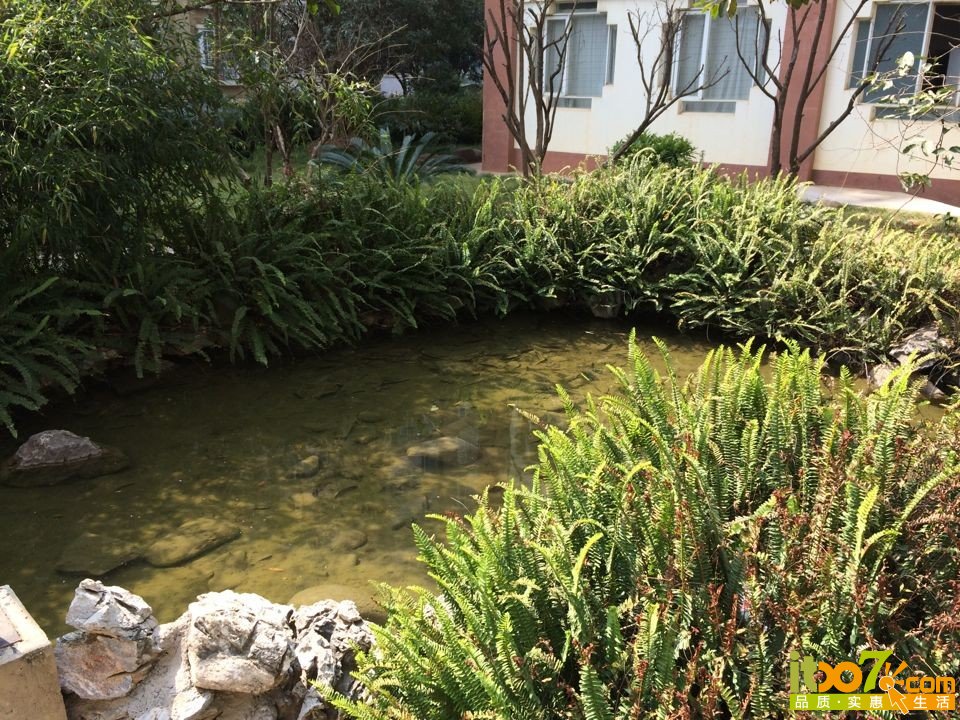 QQ图片20140316175329.jpg