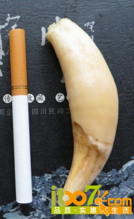 618.jpg